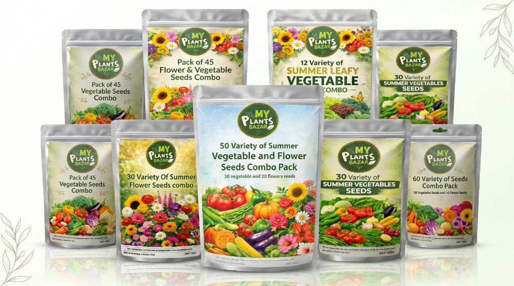 Seeds Combo Pack