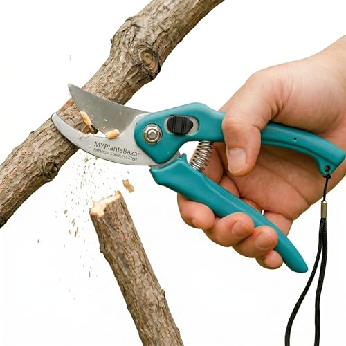 Multipurpose Kitchen Scissors Heavy Duty Stainless Steel | Utility Scissors for Meat, Fish, Poultry, Vegetables & Herbs | Wire Cutting Scissor with Ergonomic Anti-Slip Handle - Image 7