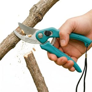 Professional Bypass Pruner Cutter for Plants | Heavy Duty Plant Cutter for Garden | Garden Scissors for Branch Cutting | Pruning Shears with Stainless Steel Blade & Safety Lock | 21 cm