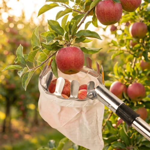 Fruit Picker with Net Basketfor Mango, Apple, Orange, Guava, Chikoo and Lemon Harvesting, Compatible with Extension Pole (Bag Style Fruit Picker) - Image 4