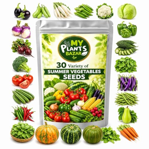 SUMMER SEEDS COMBO PACK – 12/30/50 Varieties | Veg, Leafy & Flower Seeds | High Germination | Home Gardening Kit | Balcony & Terrace Garden Seeds (30 Summer Veg Seeds Combo) - Image 6