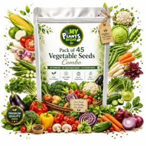 All Season Veg Seeds Combo – 45 Variety Pack | 2700+ Seeds | High Germination | Kitchen Garden Kit | Balcony, Terrace & Home Gardening