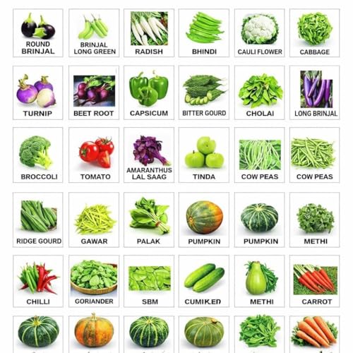 SUMMER SEEDS COMBO PACK – 12/30/50 Varieties | Veg, Leafy & Flower Seeds | High Germination | Home Gardening Kit | Balcony & Terrace Garden Seeds (30 Summer Veg Seeds Combo) - Image 2