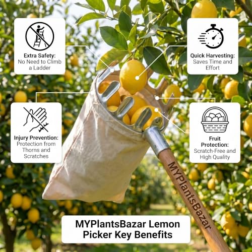Fruit Picker with Net Basketfor Mango, Apple, Orange, Guava, Chikoo and Lemon Harvesting, Compatible with Extension Pole (Bag Style Fruit Picker) - Image 3
