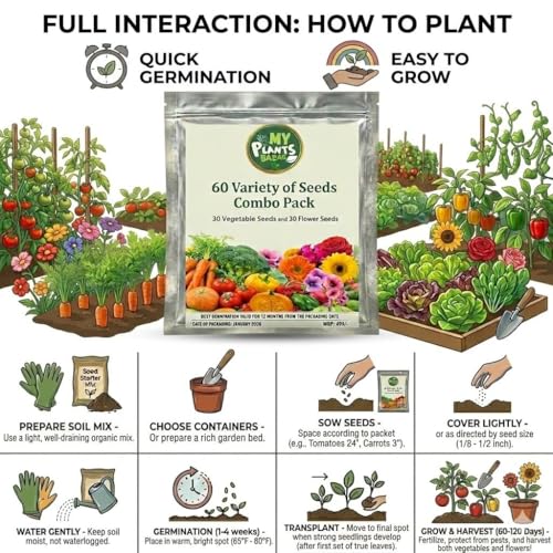 All Season Seeds Combo – 60 Variety Pack | Veg + Flower Seeds | 3700+ Seeds | High Germination | Home Gardening Kit for Balcony, Terrace & Garden - Image 3