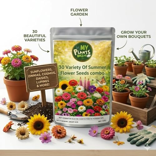 Summer Flower Seeds Combo Pack for Home Garden – 30 Varieties Mixed Flower Seed Kit for Balcony, Terrace & Outdoor Gardening | High Germination All Season Flower Seeds - Image 3