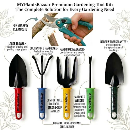 MYPlantsBazaar Premium 6-Piece Gardening Tool Kit - Heavy Duty, Rust-Resistant Steel Garden Hand Tools Set with Ergonomic Handles | Includes Pruner, Trowel, Rake, Fork & Weeder - Image 4