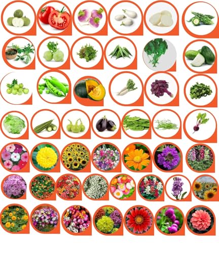 All Season Seeds Combo – 60 Variety Pack | Veg + Flower Seeds | 3700+ Seeds | High Germination | Home Gardening Kit for Balcony, Terrace & Garden - Image 2