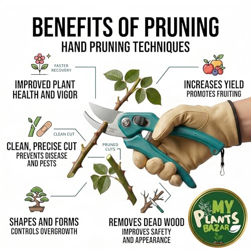 Professional Bypass Pruner Cutter for Plants | Heavy Duty Plant Cutter for Garden | Garden Scissors for Branch Cutting | Pruning Shears with Stainless Steel Blade & Safety Lock | 21 cm - Image 4