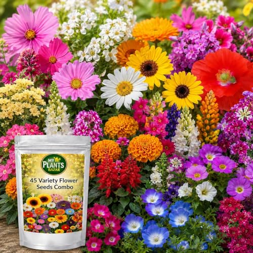 All Season Seeds Combo – 60 Variety Pack | Veg + Flower Seeds | 3700+ Seeds | High Germination | Home Gardening Kit for Balcony, Terrace & Garden - Image 8