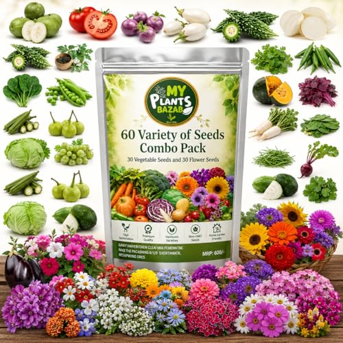 All Season Seeds Combo – 60 Variety Pack | Veg + Flower Seeds | 3700+ Seeds | High Germination | Home Gardening Kit for Balcony, Terrace & Garden - Image 6