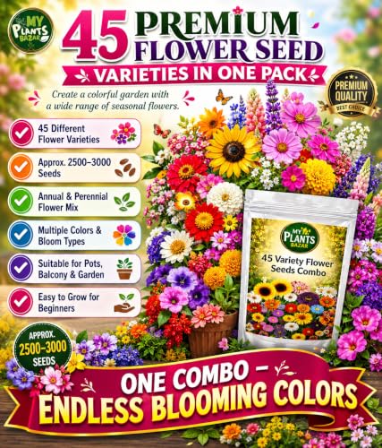 All Season Flower Seeds Combo Pack for Home Garden – 45 Varieties, 2700+ Seeds for Balcony, Terrace & Outdoor Gardening | High Germination Mixed Flower Seeds Kit for All Seasons - Image 3