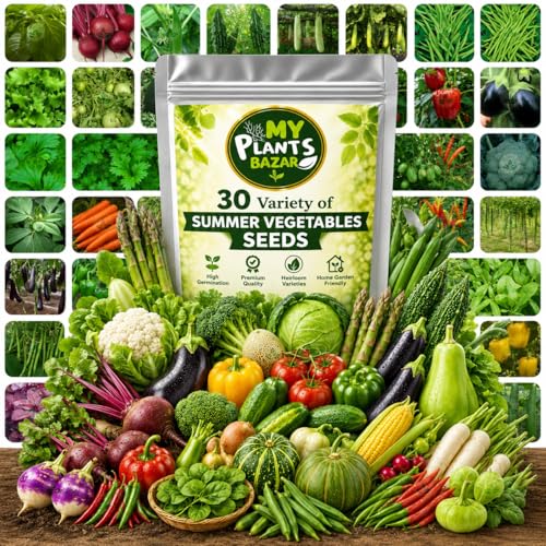 Summer Flower Seeds Combo Pack for Home Garden – 30 Varieties Mixed Flower Seed Kit for Balcony, Terrace & Outdoor Gardening | High Germination All Season Flower Seeds - Image 11