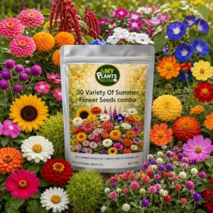 Summer Flower Seeds Combo Pack for Home Garden – 30 Varieties Mixed Flower Seed Kit for Balcony, Terrace & Outdoor Gardening | High Germination All Season Flower Seeds