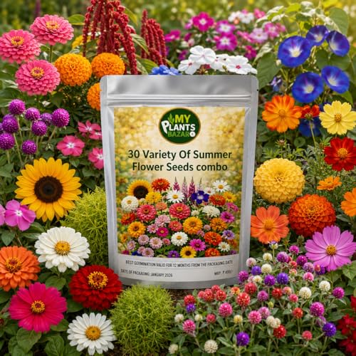 SUMMER SEEDS COMBO PACK – 12/30/50 Varieties | Veg, Leafy & Flower Seeds | High Germination | Home Gardening Kit | Balcony & Terrace Garden Seeds (30 Summer Veg Seeds Combo) - Image 8