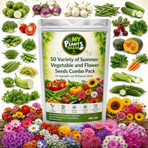 SUMMER SEEDS COMBO PACK – 12/30/50 Varieties | Veg, Leafy & Flower Seeds | High Germination | Home Gardening Kit | Balcony & Terrace Garden Seeds (30 Summer Veg Seeds Combo) - Image 9