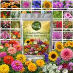 Flower Seeds