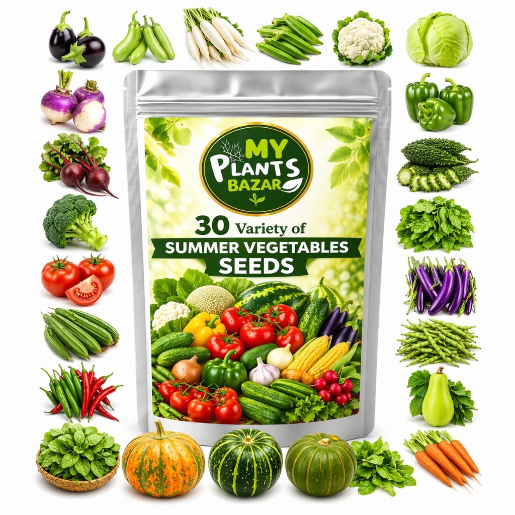 Vegetable Seeds